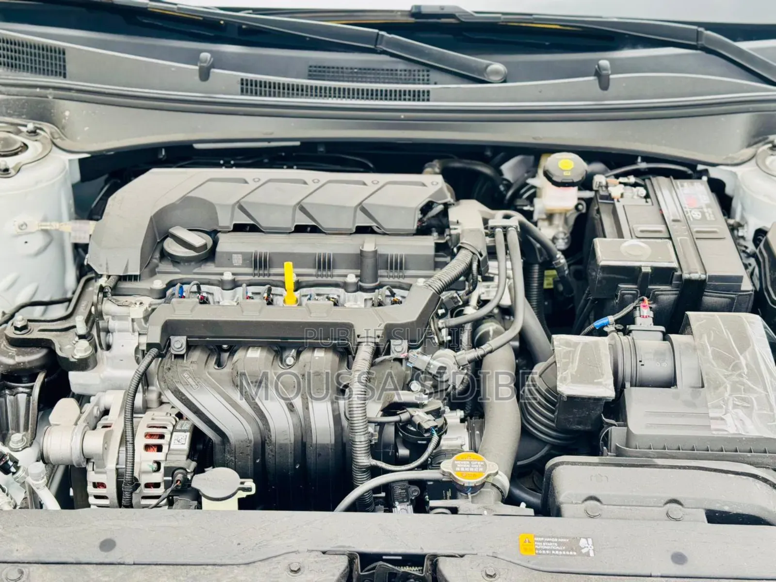 Hyundai Elantra 2025 Blanc