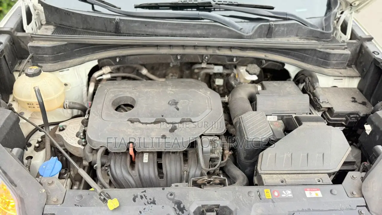 Kia Sportage EX 2021 Blanc