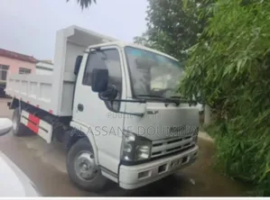 Photo - Camion Isuzu Benne