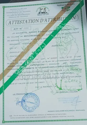 Vente De Terrains À Toumodi