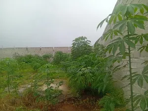 Vente De Terrain a Bingerville