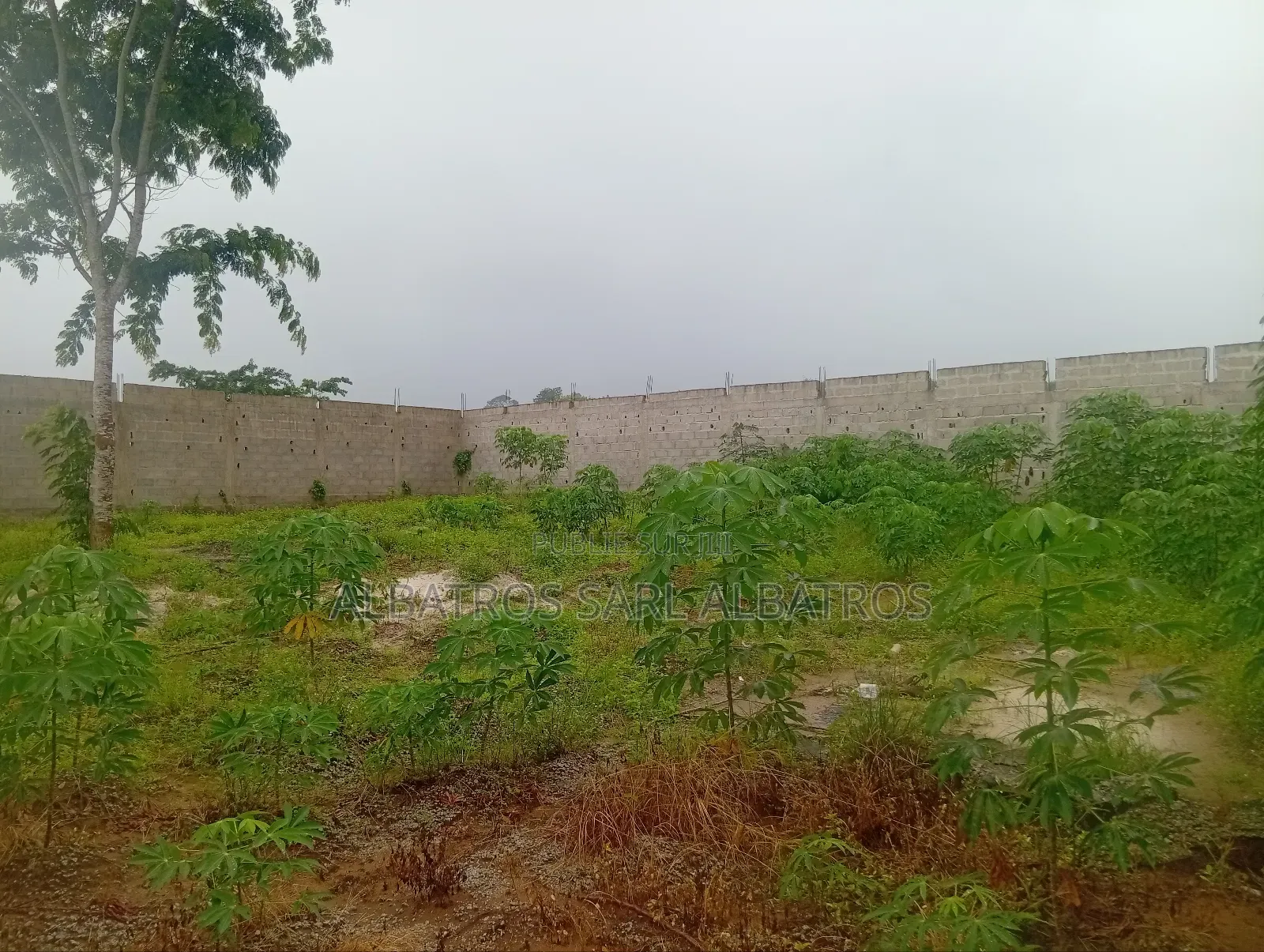 Vente De Terrain a Bingerville