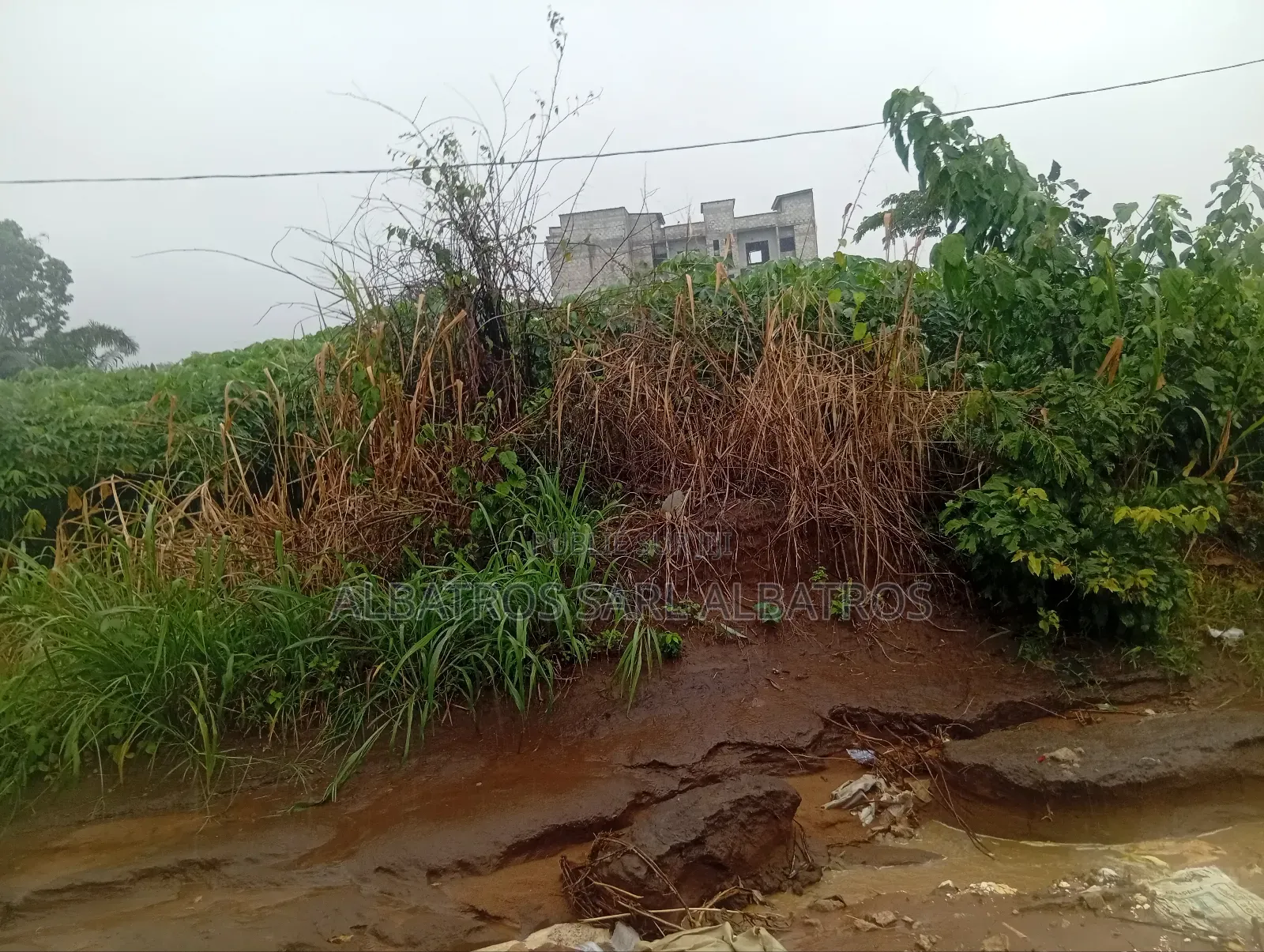 Vente De Terrain a Bingerville