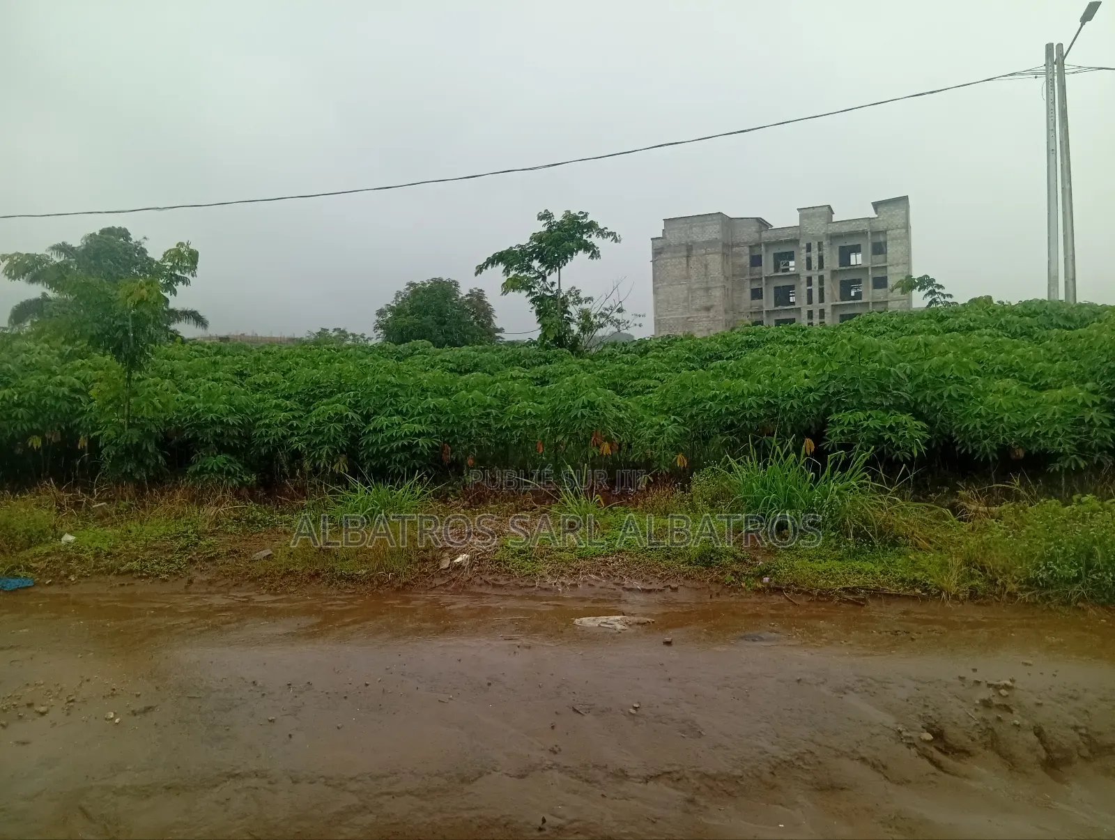 Vente De Terrain a Bingerville