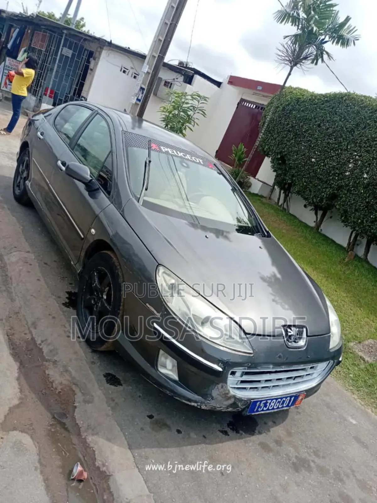 PEUGEOT 407 2001 Gris