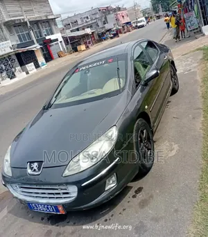 PEUGEOT 407 2001 Gris