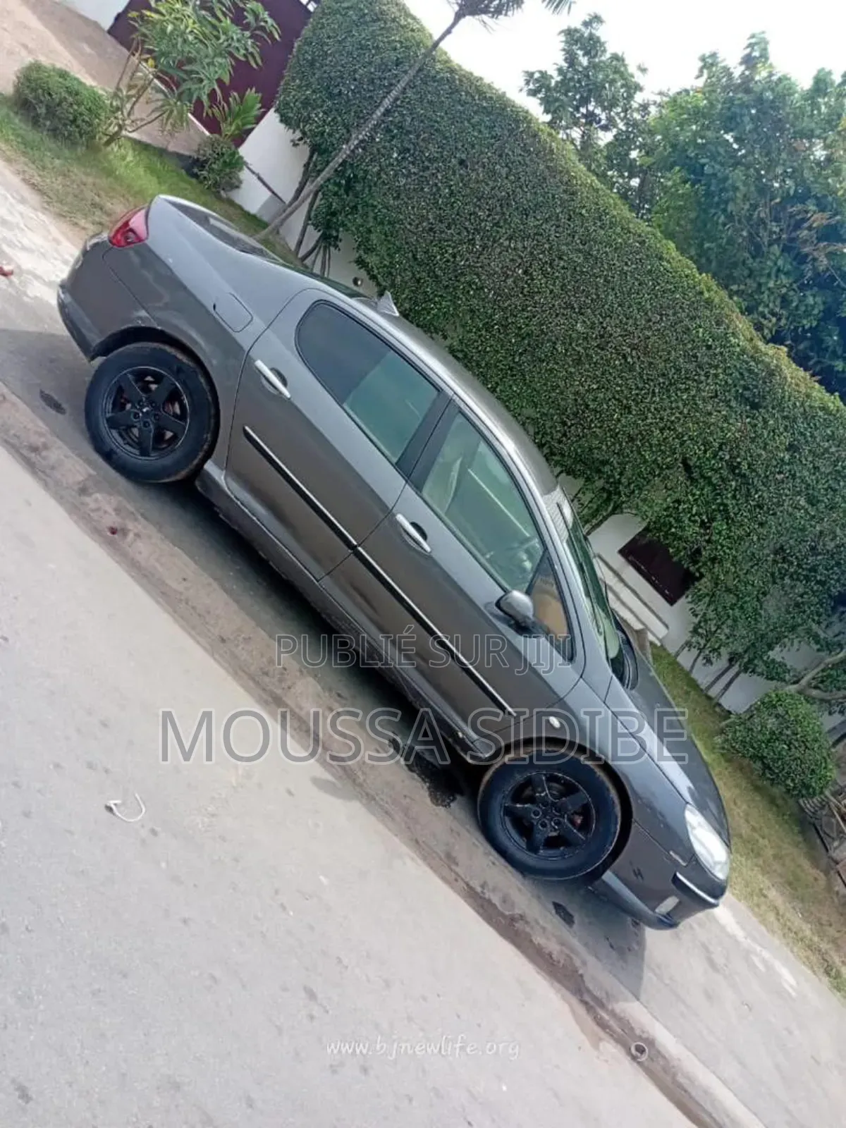 PEUGEOT 407 2001 Gris