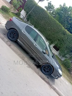 PEUGEOT 407 2001 Gris