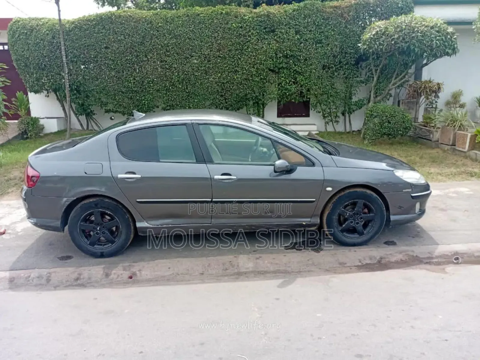 PEUGEOT 407 2001 Gris