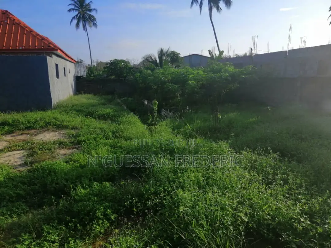 3 Lots De 600m2 Avec Acd en Vente À Bingerville