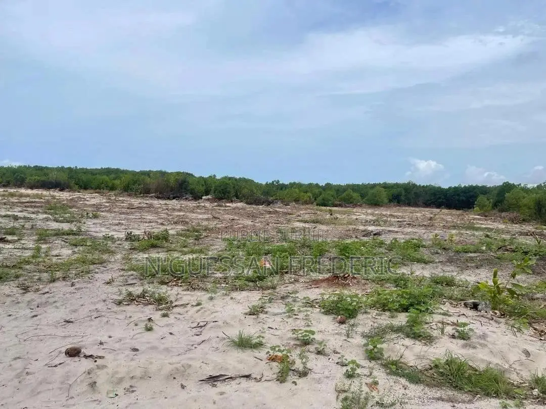 3 Lots De 600m2 Avec Acd en Vente À Bingerville