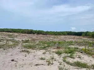 Photo - 3 Lots De 600m2 Avec Acd en Vente À Bingerville