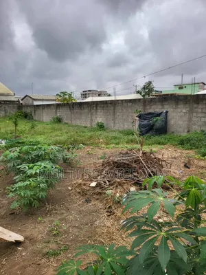 Terrain De 700m2 À Vendre Situé À Cocodyangre