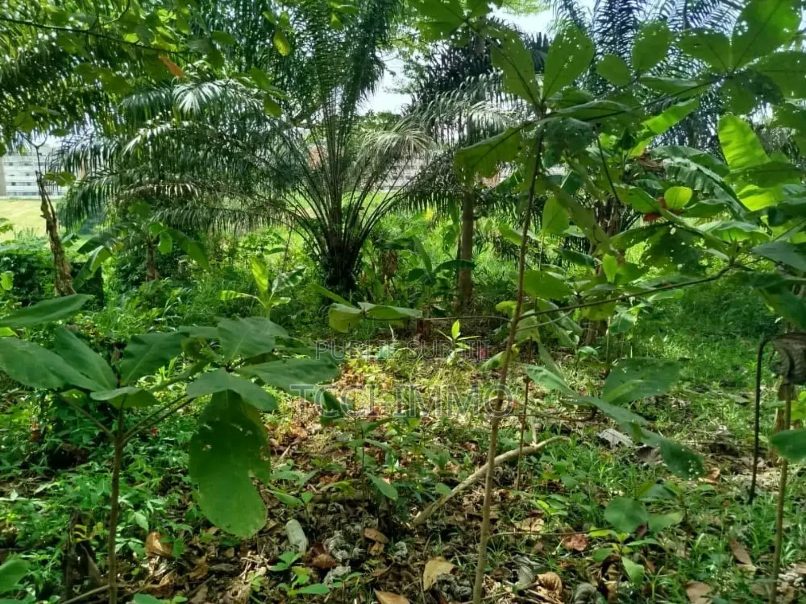 En Vente Terrain De 1400 M2 Avec Acd À Toi