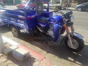 Neuf Tricycle Autre 2023 Autre