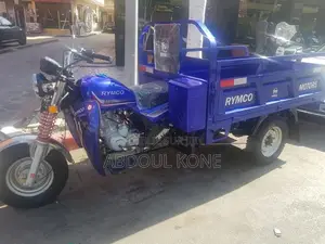 Neuf Tricycle Autre 2023 Autre