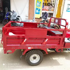 Neuf Tricycle Autre 2020 Rouge