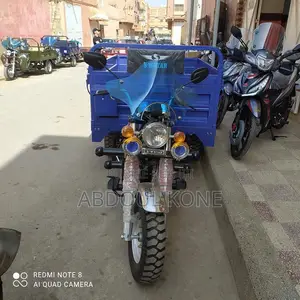Neuf Tricycle Autre 2020 Bleu