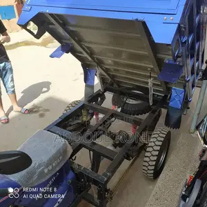 Neuf Tricycle Autre 2020 Bleu