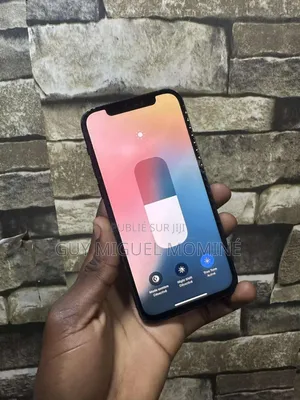 Apple iPhone 12 64 GB Noir