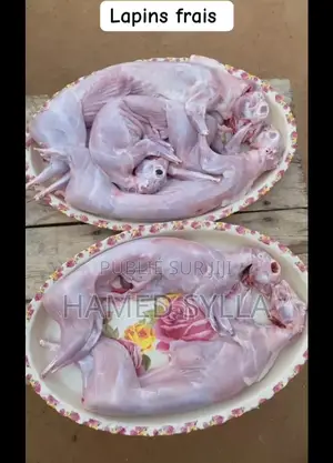 Photo - Lapins Frais, Fumé Et Canard Frais Et Fumé