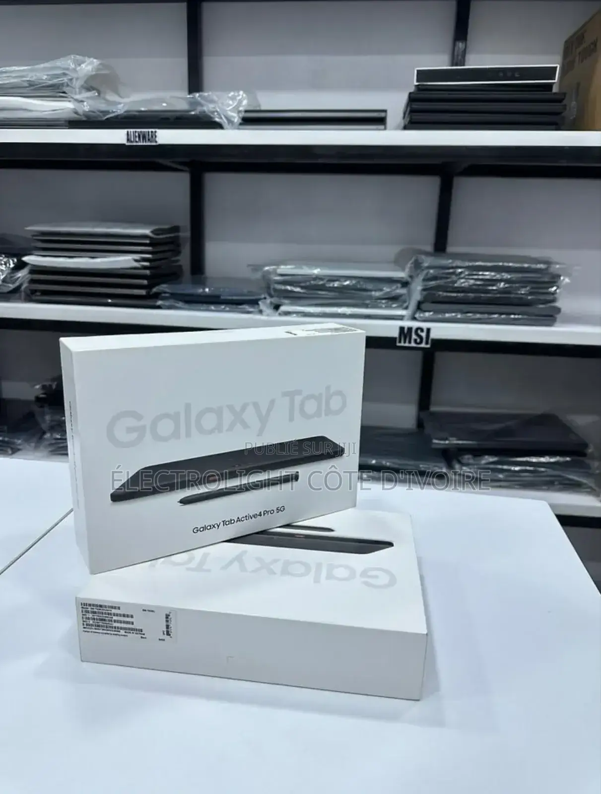 Neuf Samsung Galaxy Tab Active4 Pro 8 Go Argenté