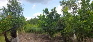 Photo - Vente De Terrain