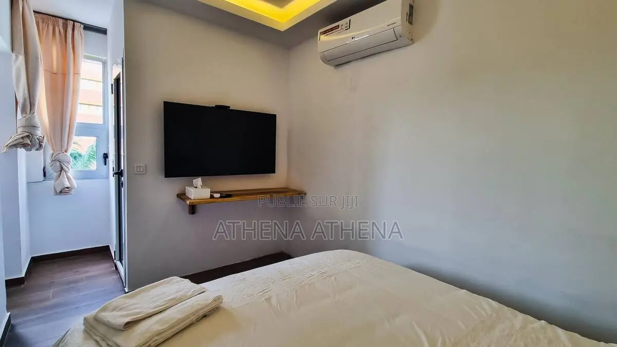 Annonce N°29 – Signal Studio Rénové Au Cœur Du Plateau