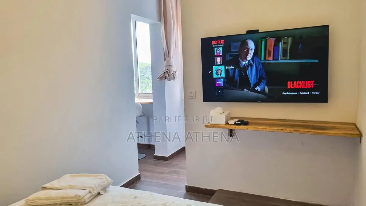 Annonce N°29 – Signal Studio Rénové Au Cœur Du Plateau