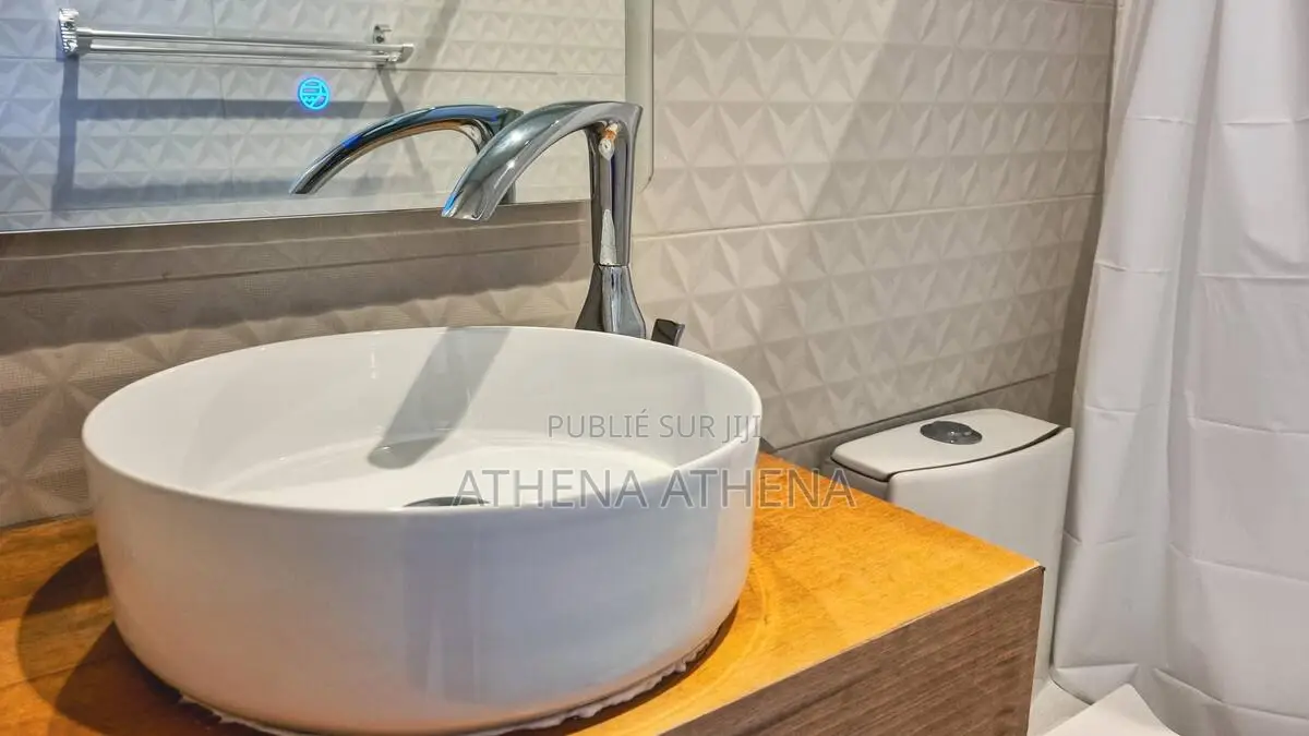 Annonce N°29 – Signal Studio Rénové Au Cœur Du Plateau