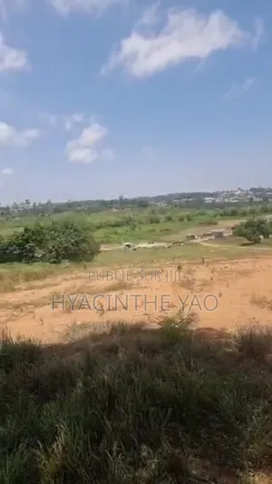 Photo - Terrain 1000m2 Songon