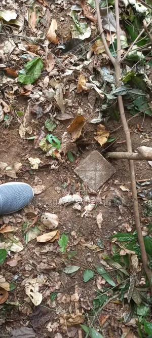 Furnished 3chbre Duplex dans Ismaël Coulibaly, Cocody à Vendre