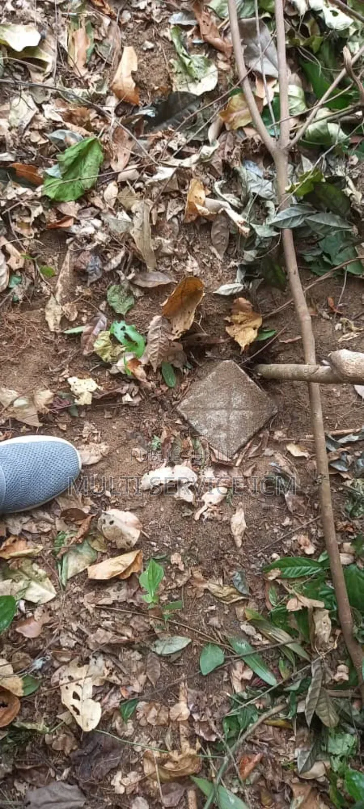 Furnished 3chbre Duplex dans Ismaël Coulibaly, Cocody à Vendre