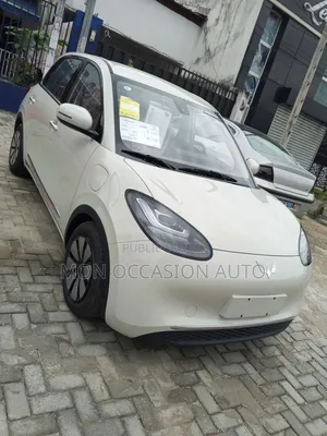 New Wuling Bingo 2025 Vert