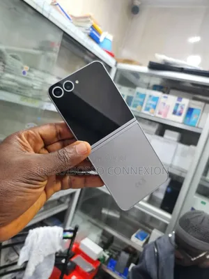 Samsung Galaxy Z Flip6 256 GB Gris