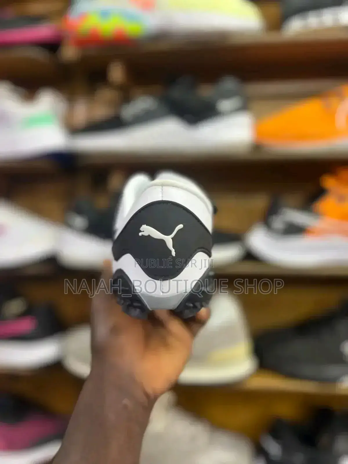 Puma Mostro