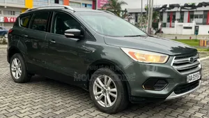 Ford Escape 2018 Gris
