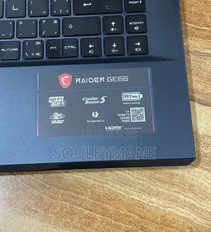 Photo - Ordinateur Portable MSI GE66 Raider 16GB Intel Core I9 SSD 1T