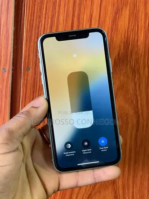 Pomme iPhone 11 64 GB Vert