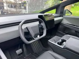 Tesla Model X 100D kWh Long Range 2023 Beige