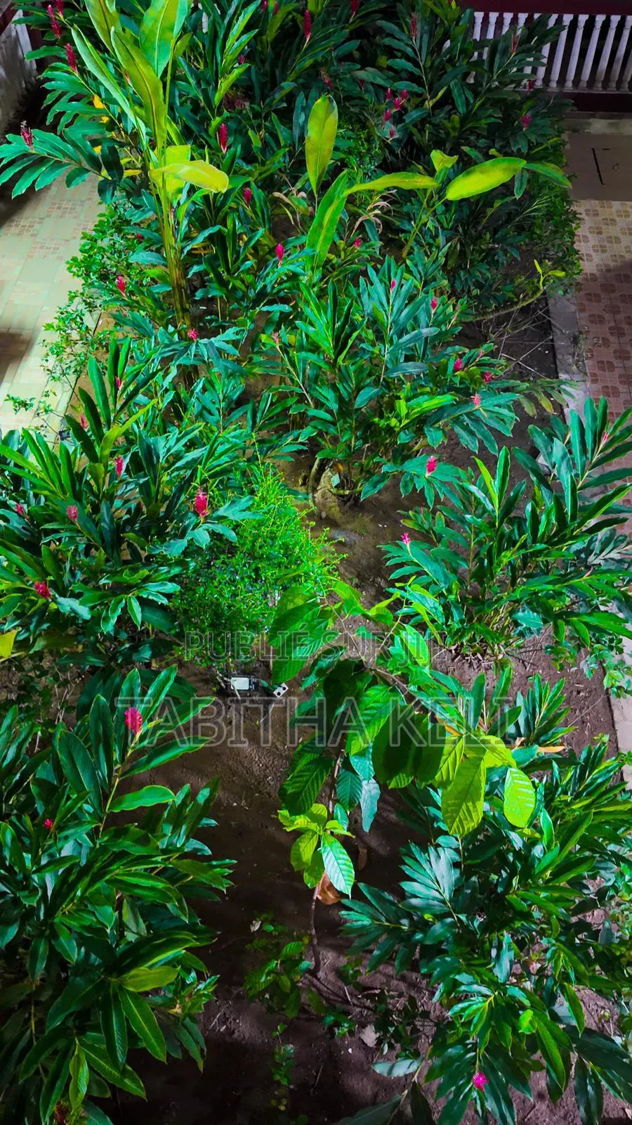 Furnished 1chbre Appartement dans G.F.J Immobilier, Cocody à Louer