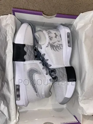 Photo - Basketball Lebron Witness 8