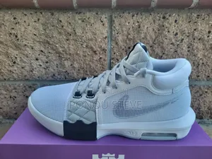 Basketball Lebron Witness 8