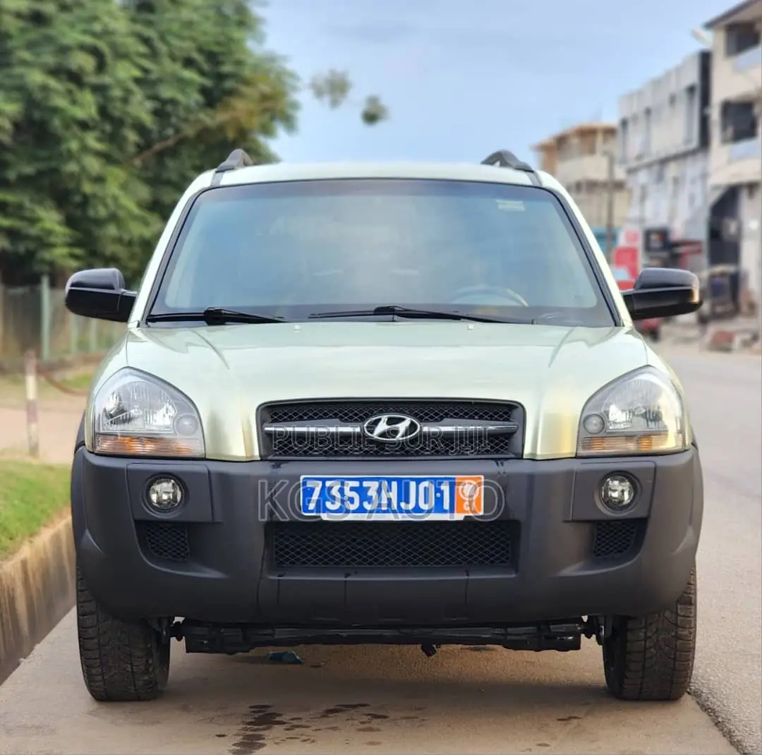 Hyundai Tucson 2006 Beige