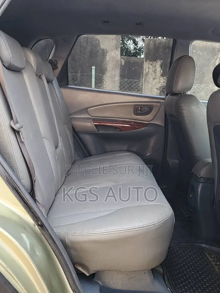 Hyundai Tucson 2006 Beige