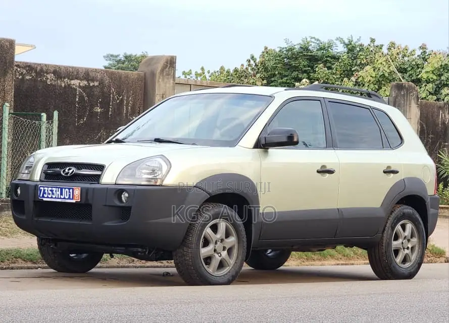 Hyundai Tucson 2006 Beige