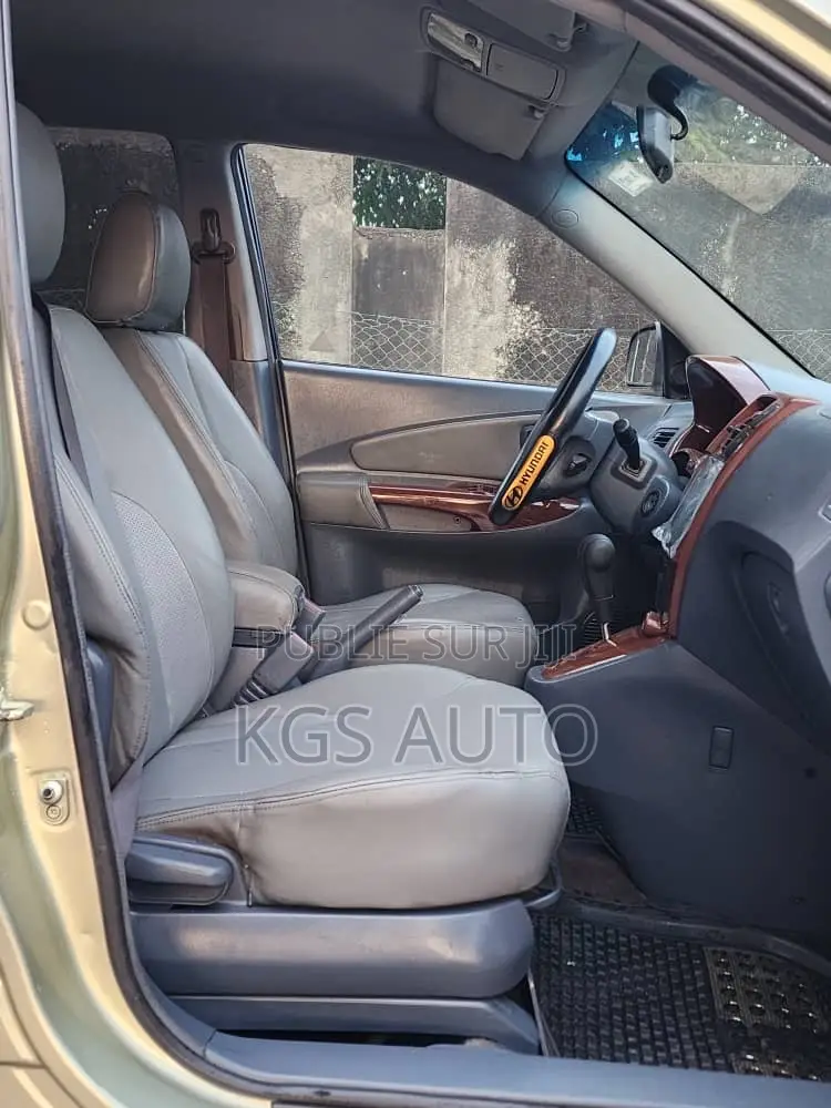 Hyundai Tucson 2006 Beige