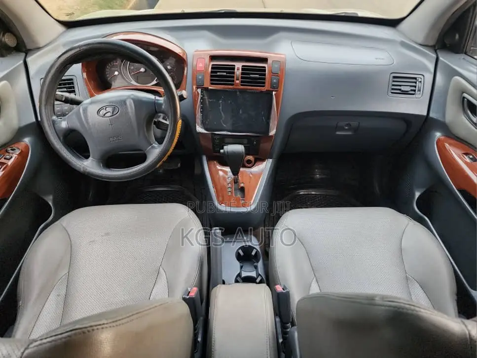 Hyundai Tucson 2006 Beige