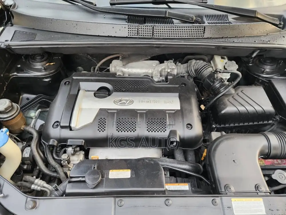 Hyundai Tucson 2006 Beige