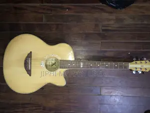 Photo - Guitare Professionnelle